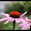 20120729_088
